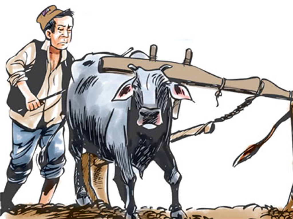 कञ्चनपुरका मुक्त हलिया भन्छन्– पहिले लिखित प्रतिबद्धता, अनि मात्र मतदान