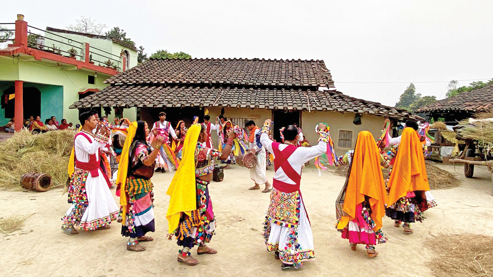 रानाथारू समुदायमा होरीको रौनक