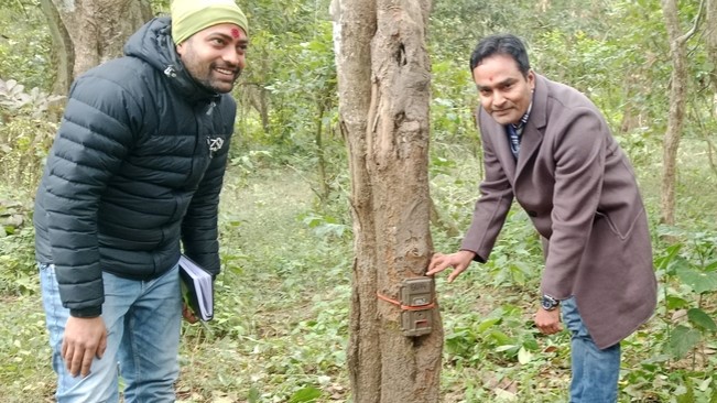 ब्रह्मदेव करिडोरमा बाघ गणना थालियो