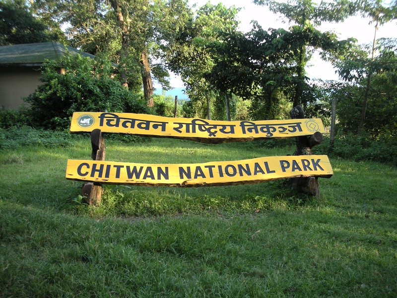 chitwan-national-park_Rf6vw5q8KQ.jpeg