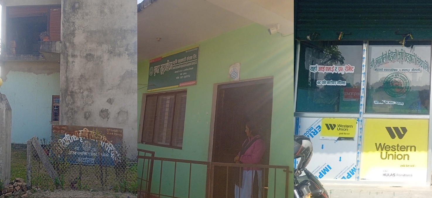 बचत तथा ऋणकै कारोबारमा सीमित छन्, विषयगत र बहुद्देश्यीय सहकारी