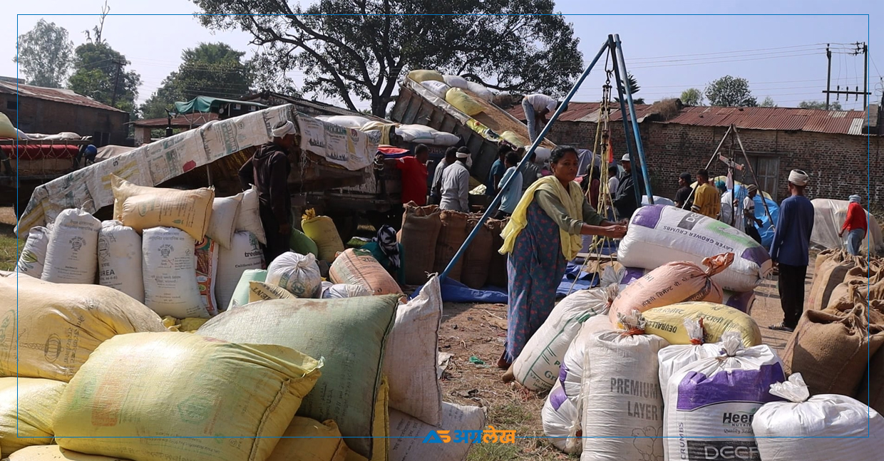 धानमा चलखेल : खाद्यले खरिद रोक्यो, व्यापारीलाई बेच्दा उठ्दैन लगानी