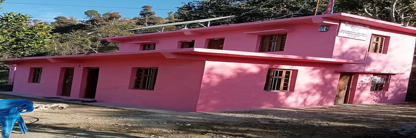 दुर्घटनामा दुई युवाको मृत्यु भएपछि डिलासैनीमा शोक बिदा