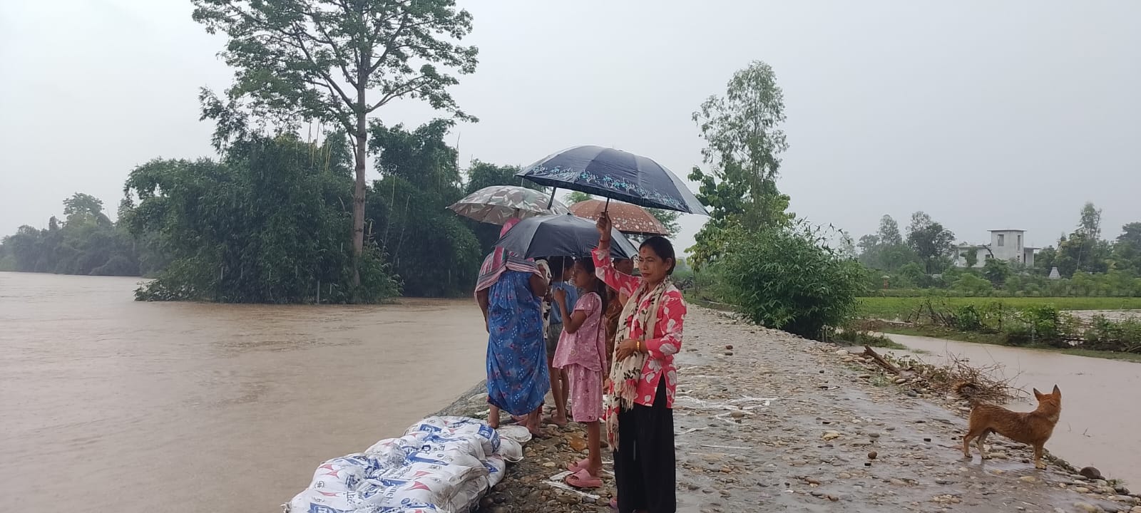 कञ्चनपुरमा बाढीले विस्थापित ४२ परिवार चार दिनपछि फर्किए घर