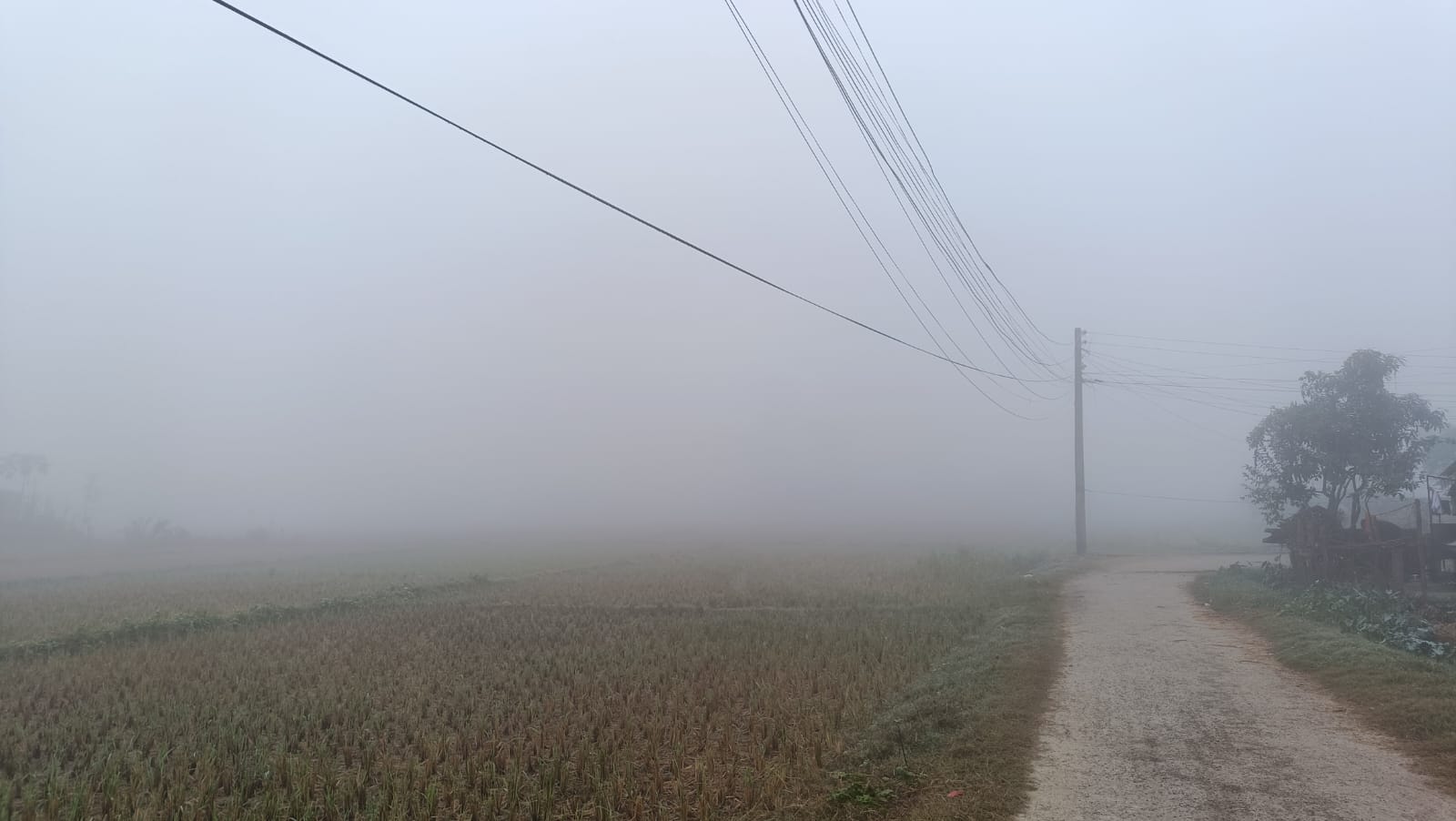 धनगढीमा मध्य कात्तिकमै बाक्लो हुस्सु, चिसो बढ्यो