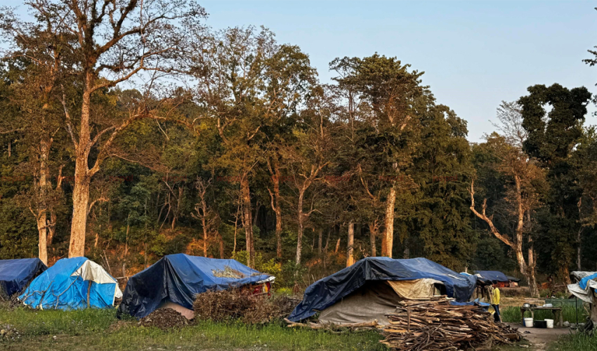 कैलालीको चुरेमा वन संरक्षण गर्न चुनौती