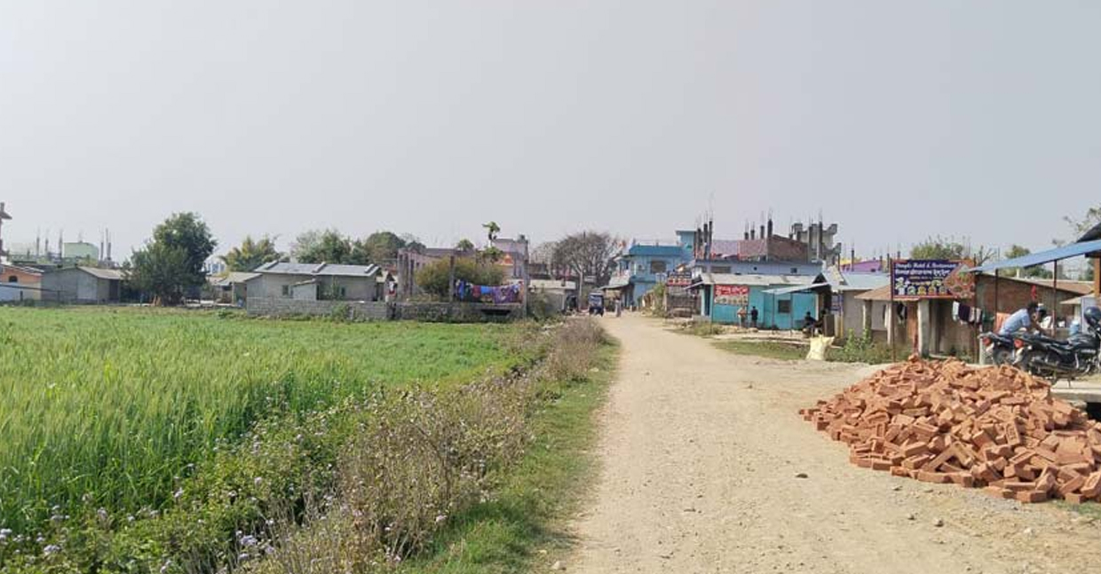 भोटको बदलामा रोजगारी माग्दैछन् कैलालीका बादी समुदाय