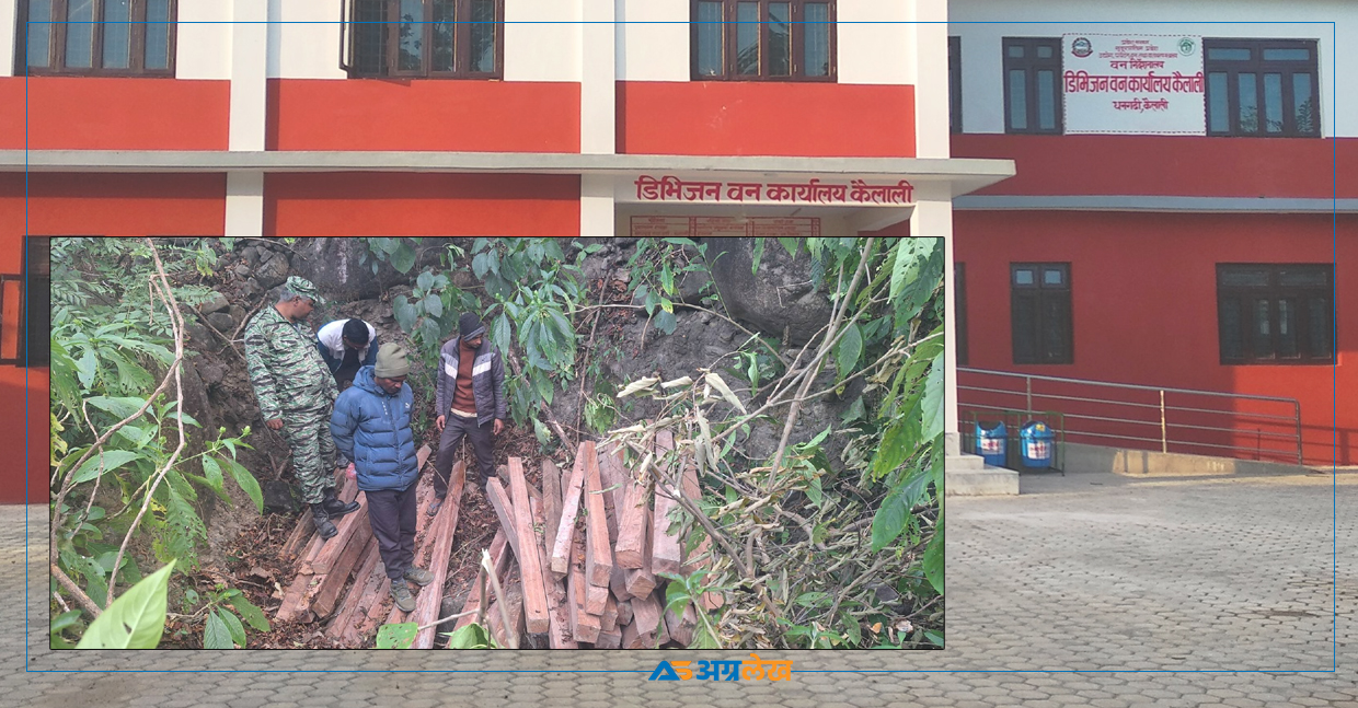 कैलालीको चुरे क्षेत्रमा बढ्यो काठ तस्करी, वन कर्मचारीकै संलग्नता !