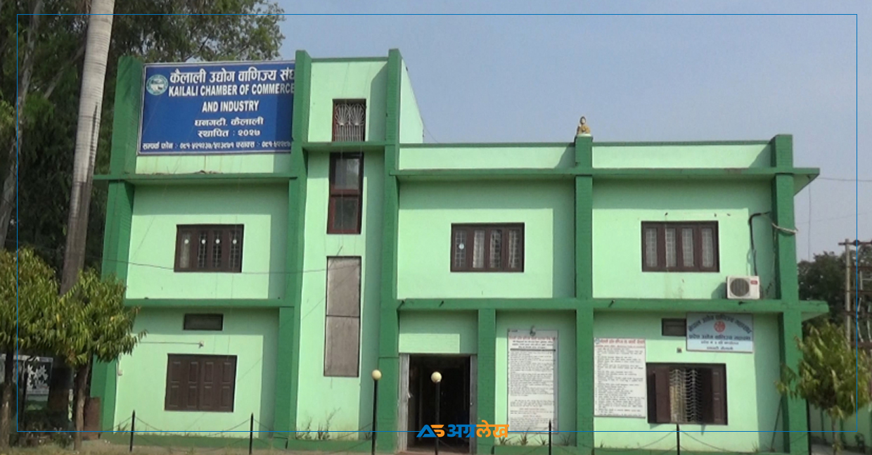 कैलाली उद्योग वाणिज्य संघ निर्वाचन : १७ सय मत गन्दा यी पदाधिकारीको जित निश्चित