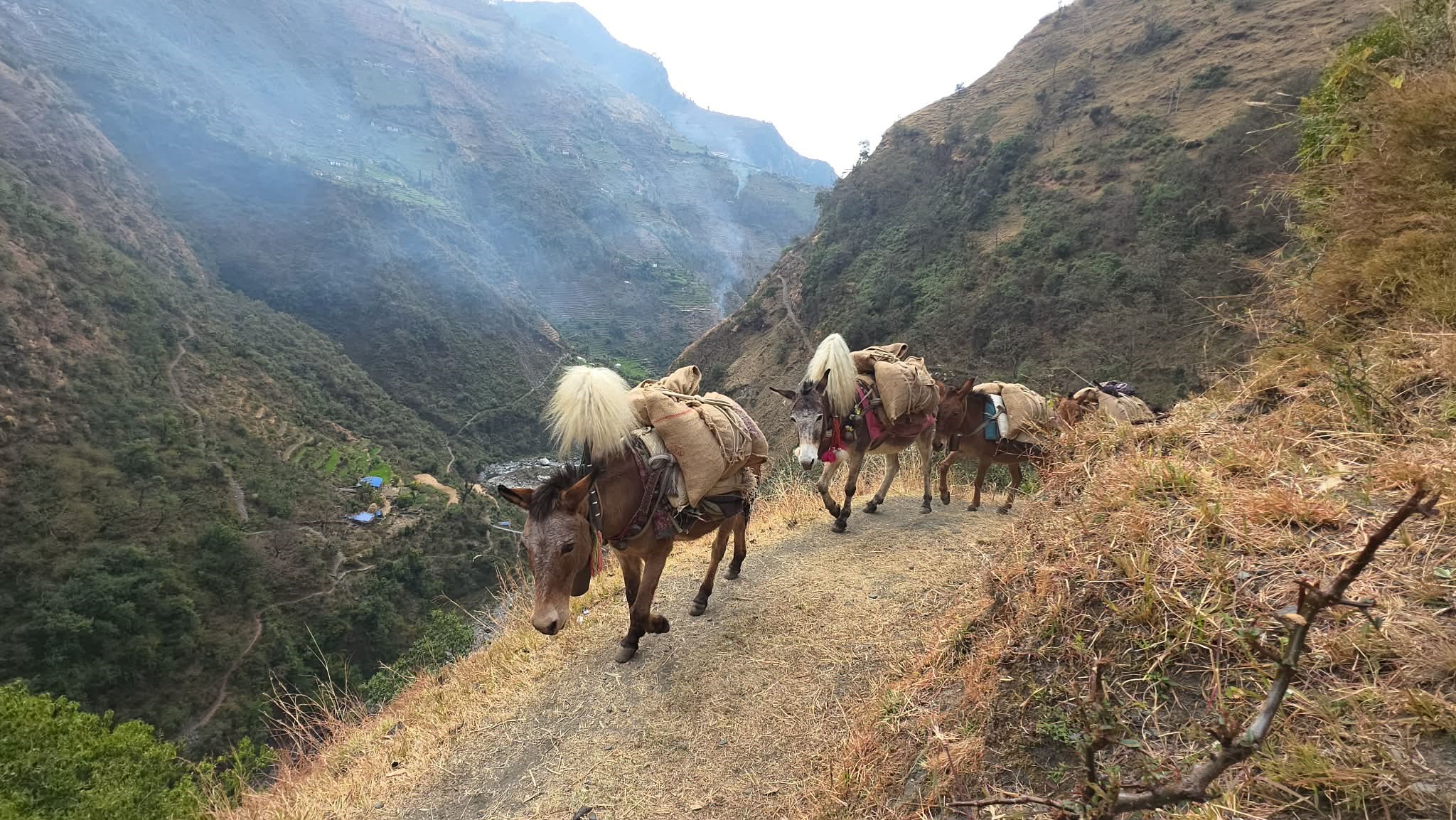 कहाँ किन नो भोट ?