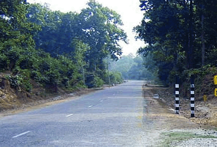 कञ्चनपुरमा वन्यजन्तु नियन्त्रण गर्न स्वचालित बत्ती जडान
