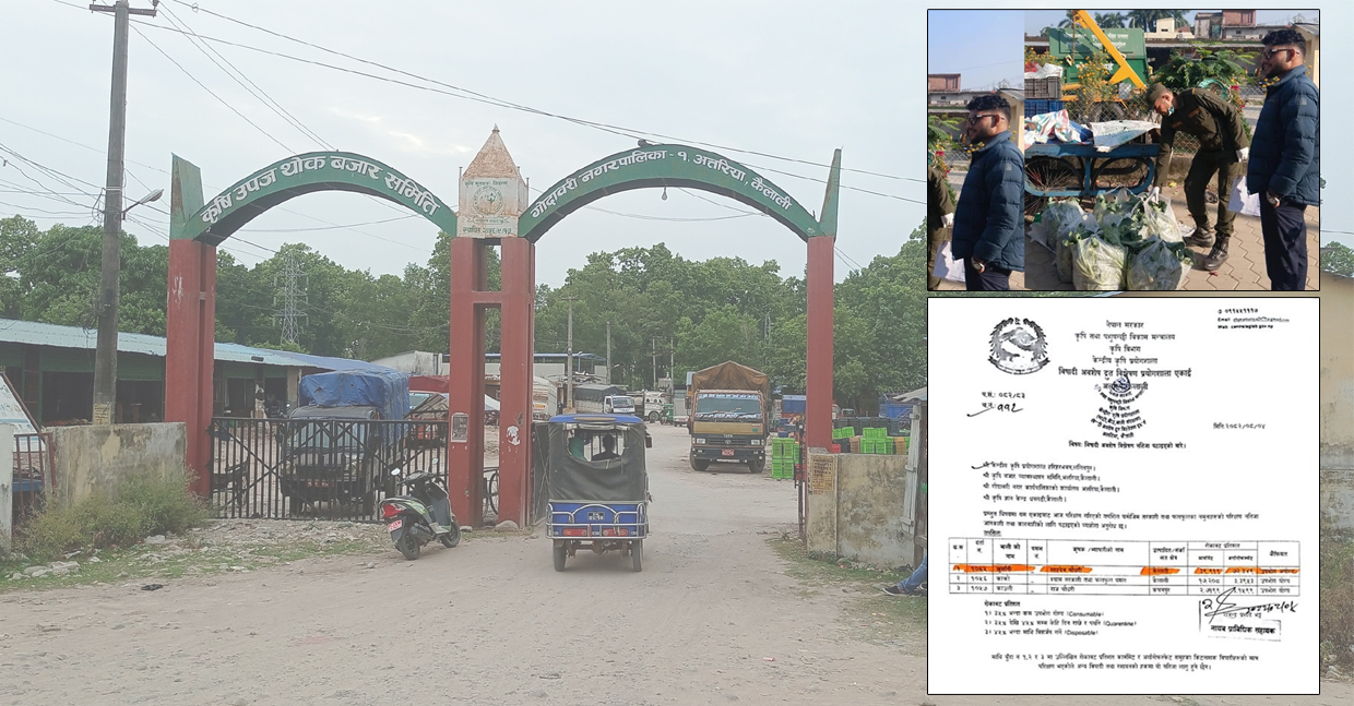 कैलालीमा खुलेआम बिक्री हुन्छ विषादीयुक्त तरकारी, परीक्षण हुँदाहुदै पुग्छ बजारमा